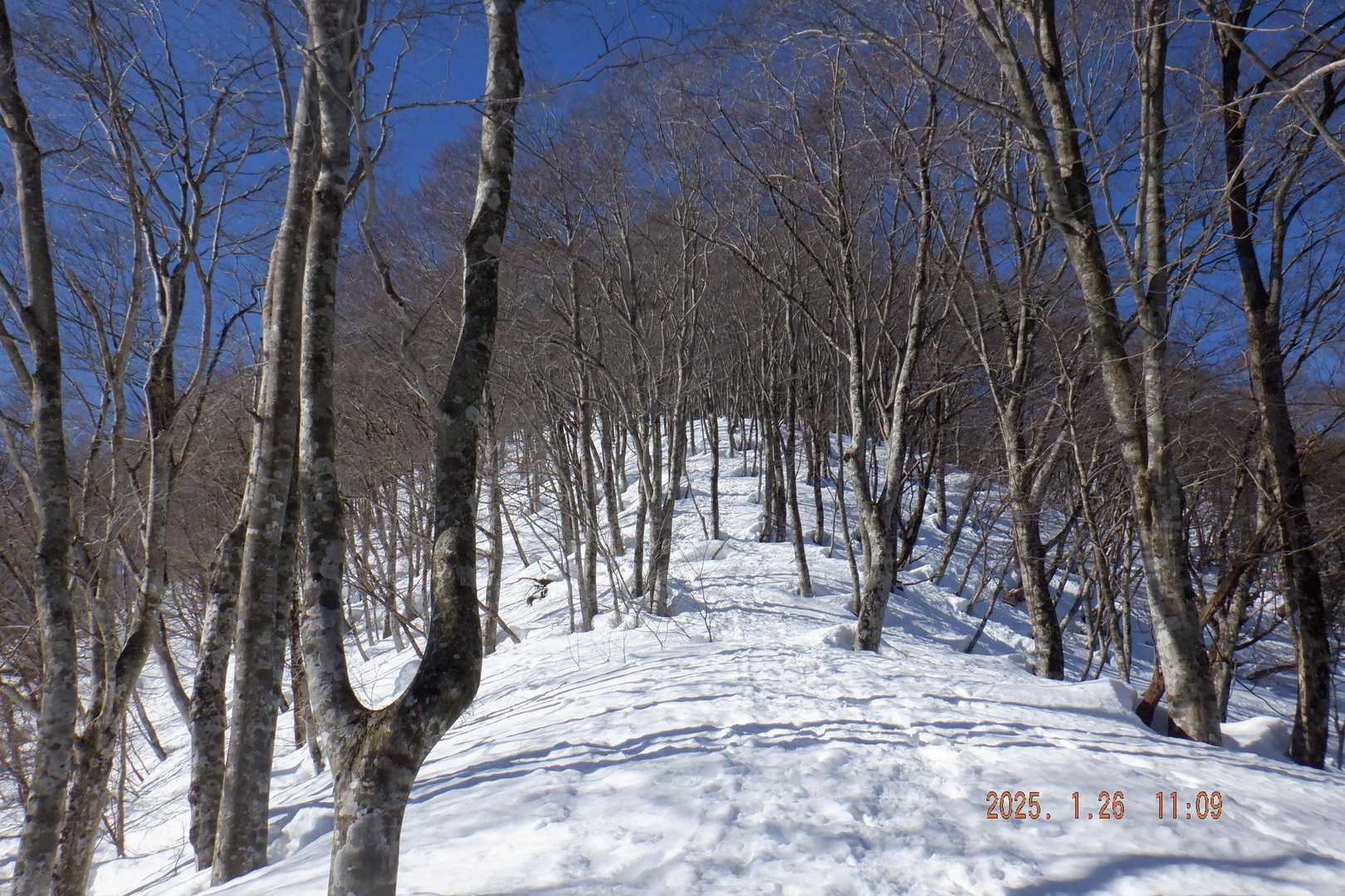 丁子山-湧谷山 往復コースの写真