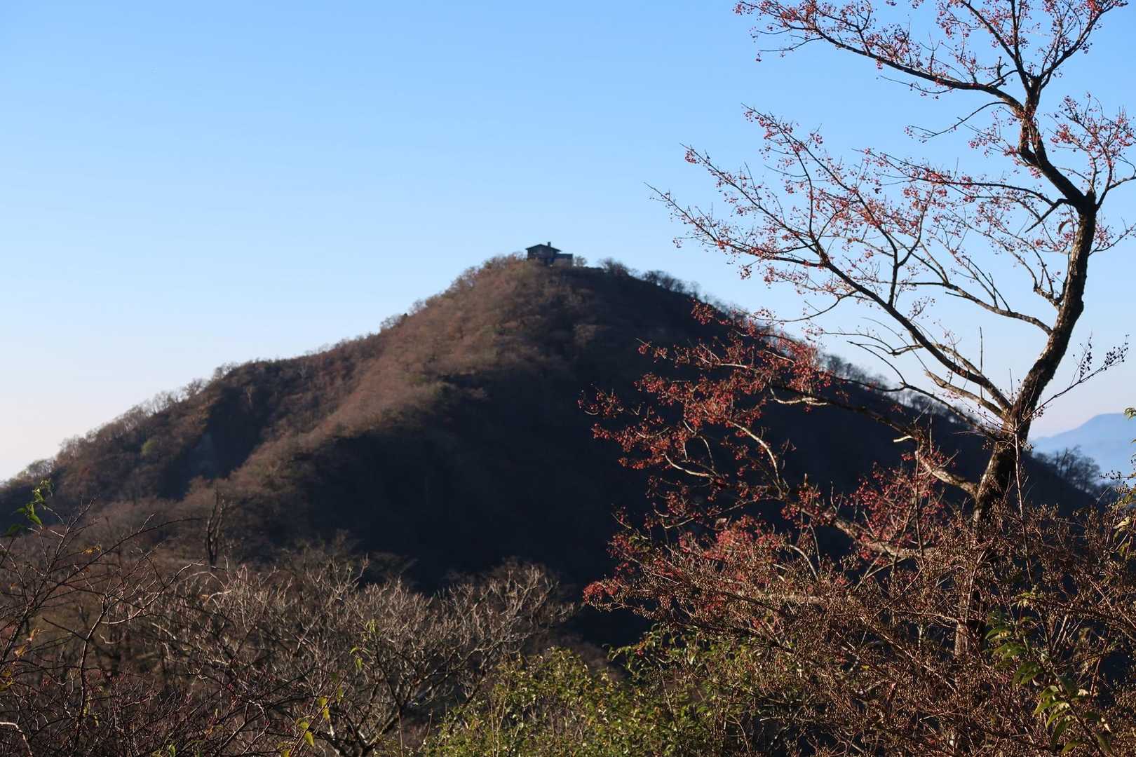 正面に塔ノ岳
