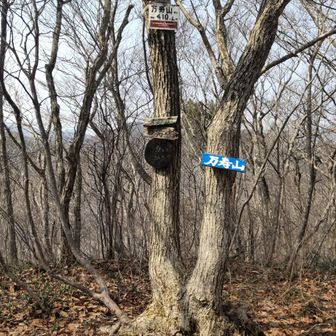 山頂に到着しました