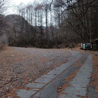 桂小場登山口駐車場まで約30分歩いて到着。