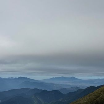 本日のベストショット📸