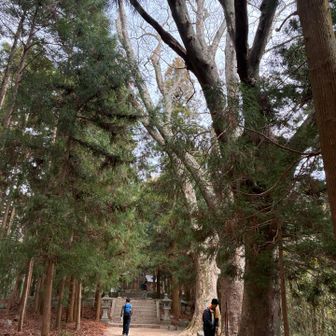 あ❗️
◯太さんおる❗️