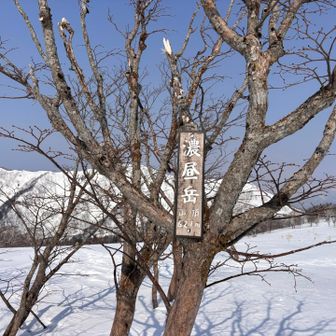 濃昼岳到着🙌忘れたけど私は3、4回目
繋いで来たのは初