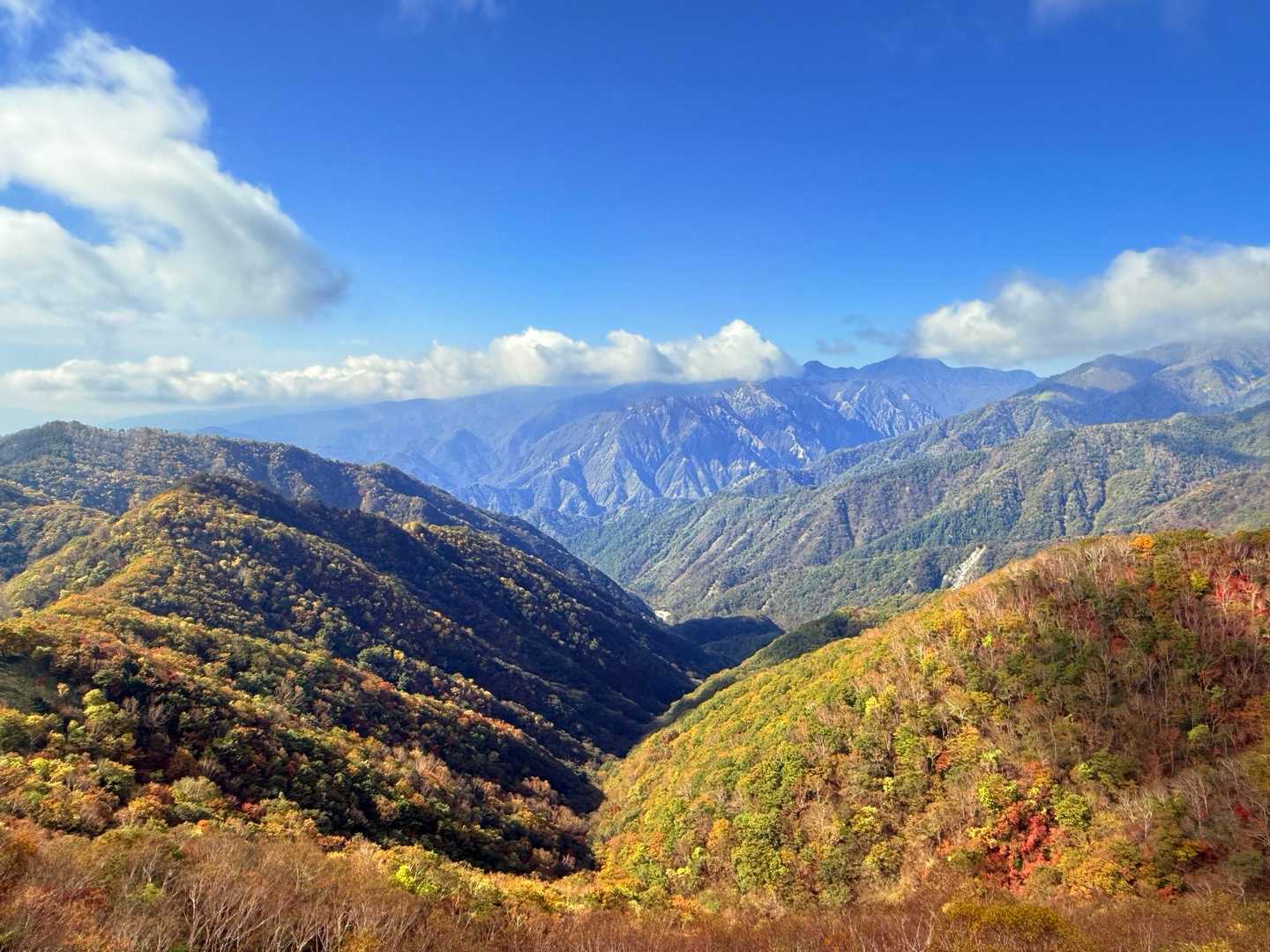半月山駐車場発着｜半月山 往復コースの写真