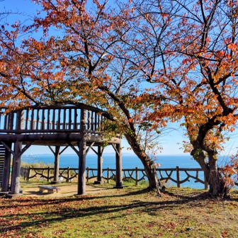 良く整備されてる公園