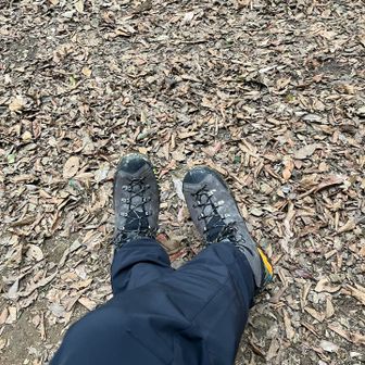 ハイカット履いたら踵が痛ぇ…歩き方の問題かな。どうしてもフォアフットなんじゃい