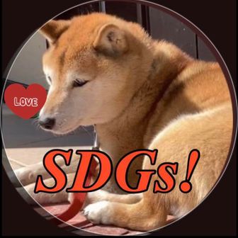 素天狗（すてんぐ）DIY チャレンジャー