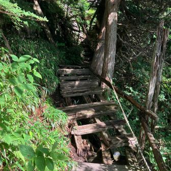 朽ちた橋、スリリング。