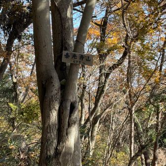 3座目泰光寺山 ４７５m