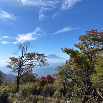 ヒノキボラマルからの富士山