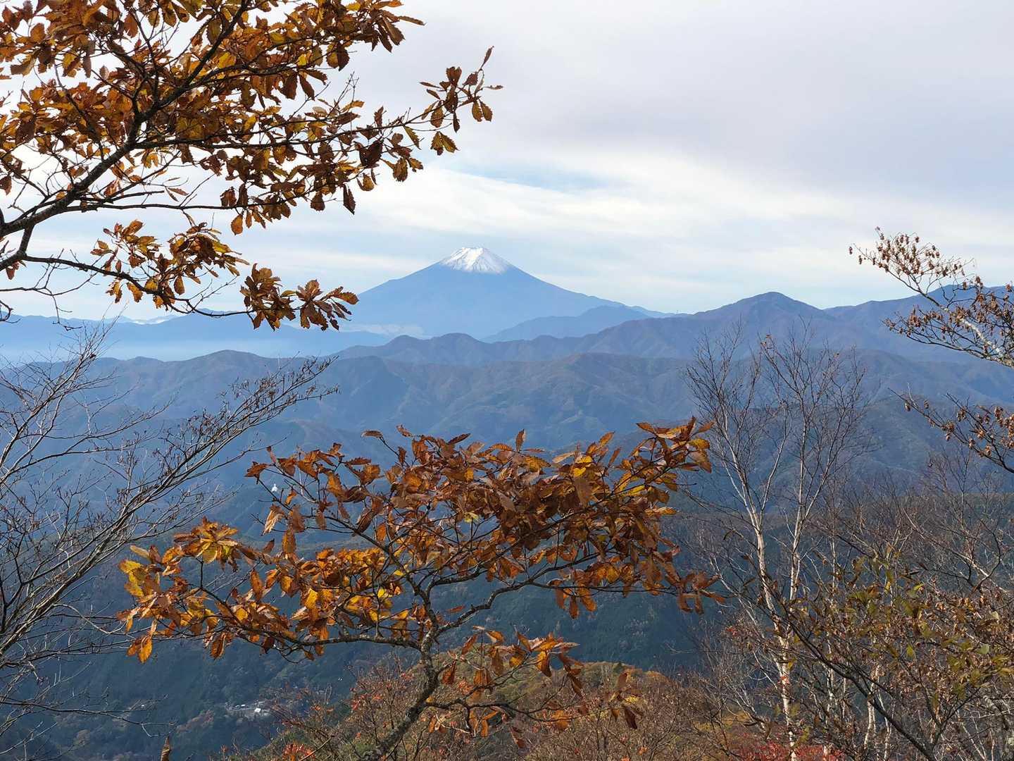 鷹ノ巣山 往復コースの写真