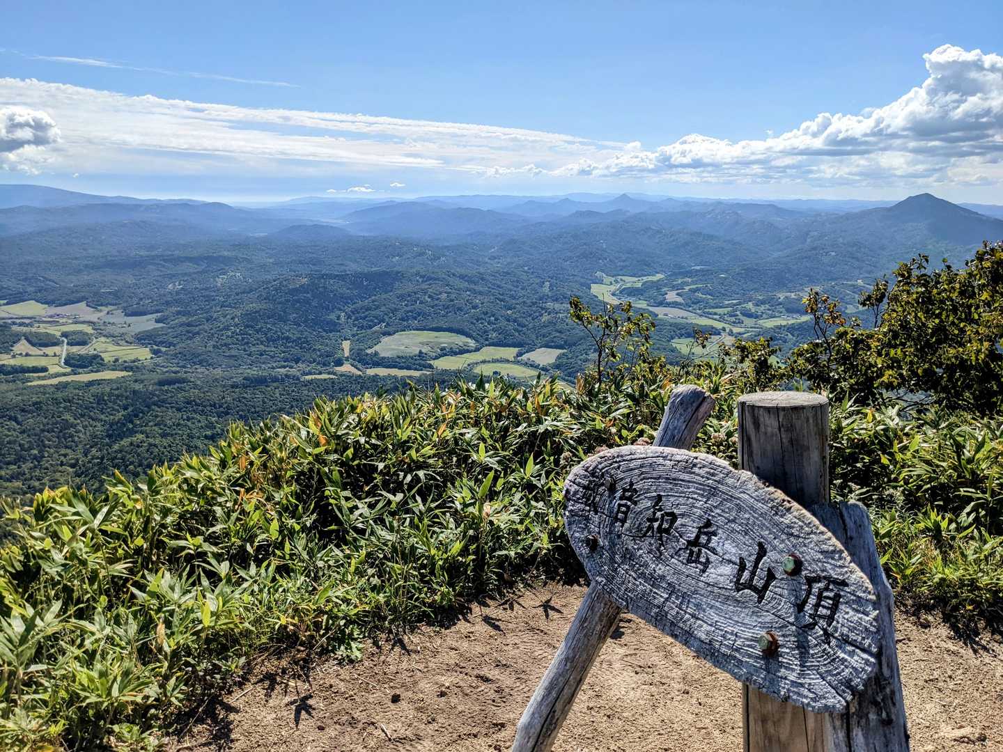 敏音知岳 往復コースの写真