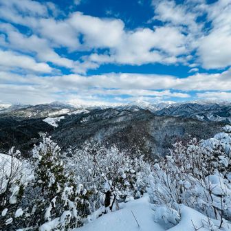 うちゅくしい眺め😉