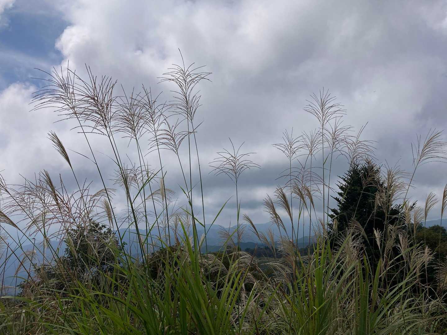 秋の気配🌾