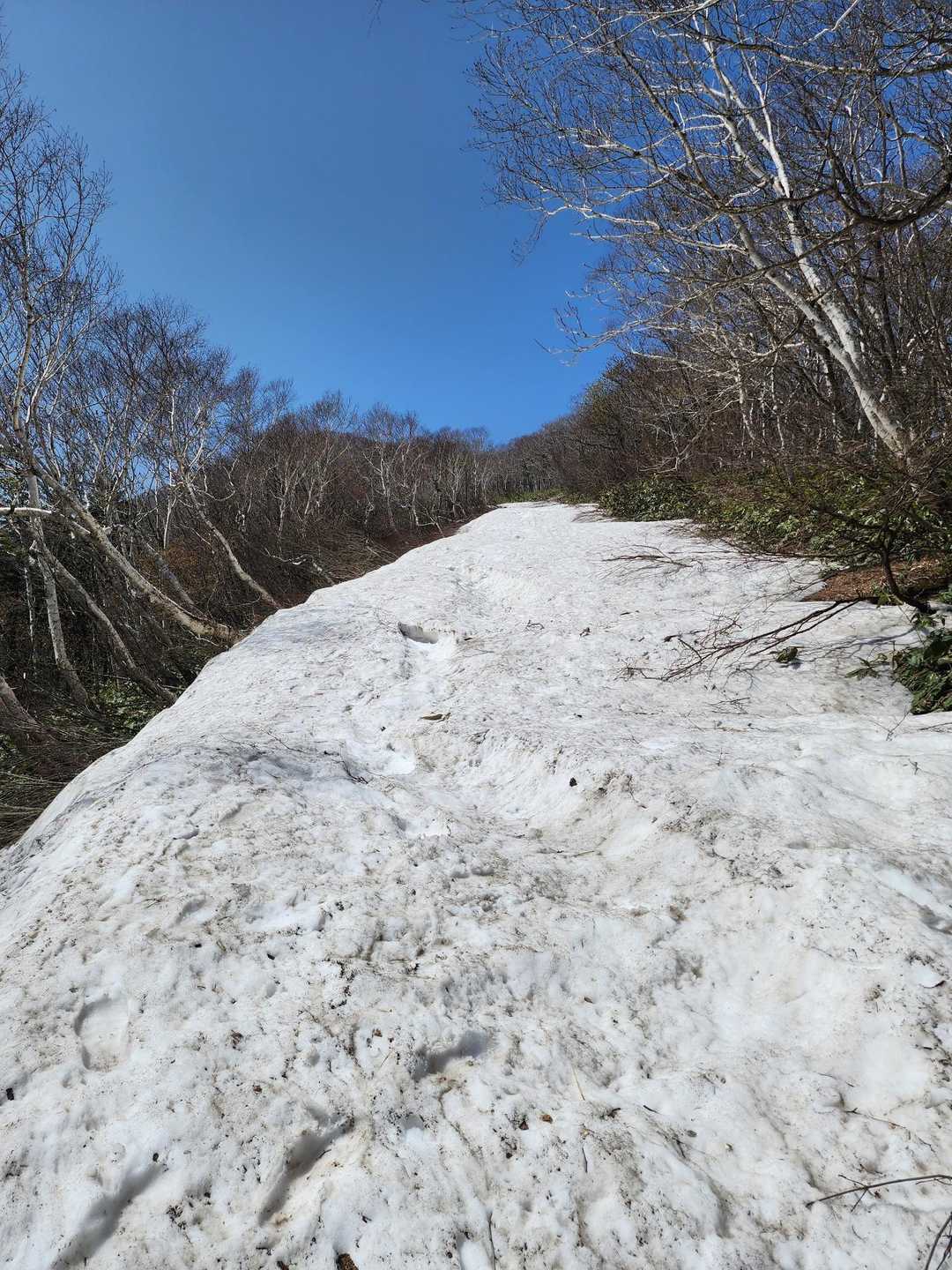 雪渓はここだけ🚶〟