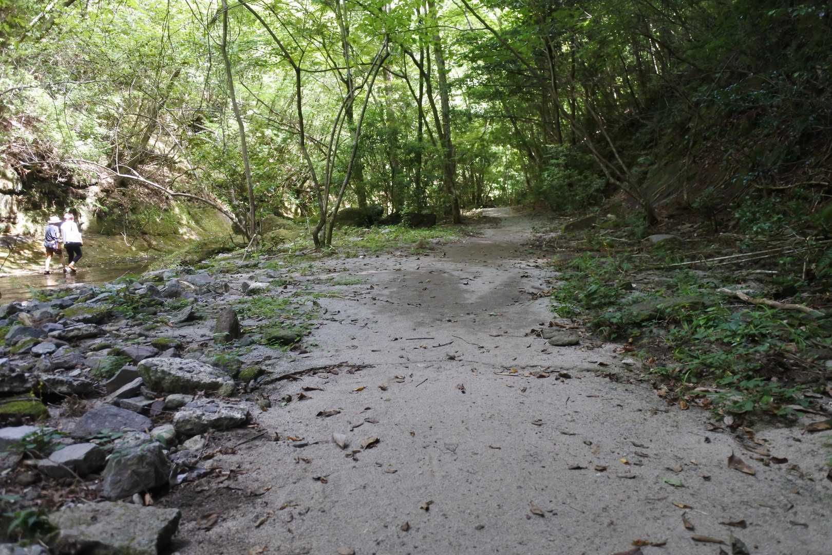 砂地の道を歩くのも良かった。