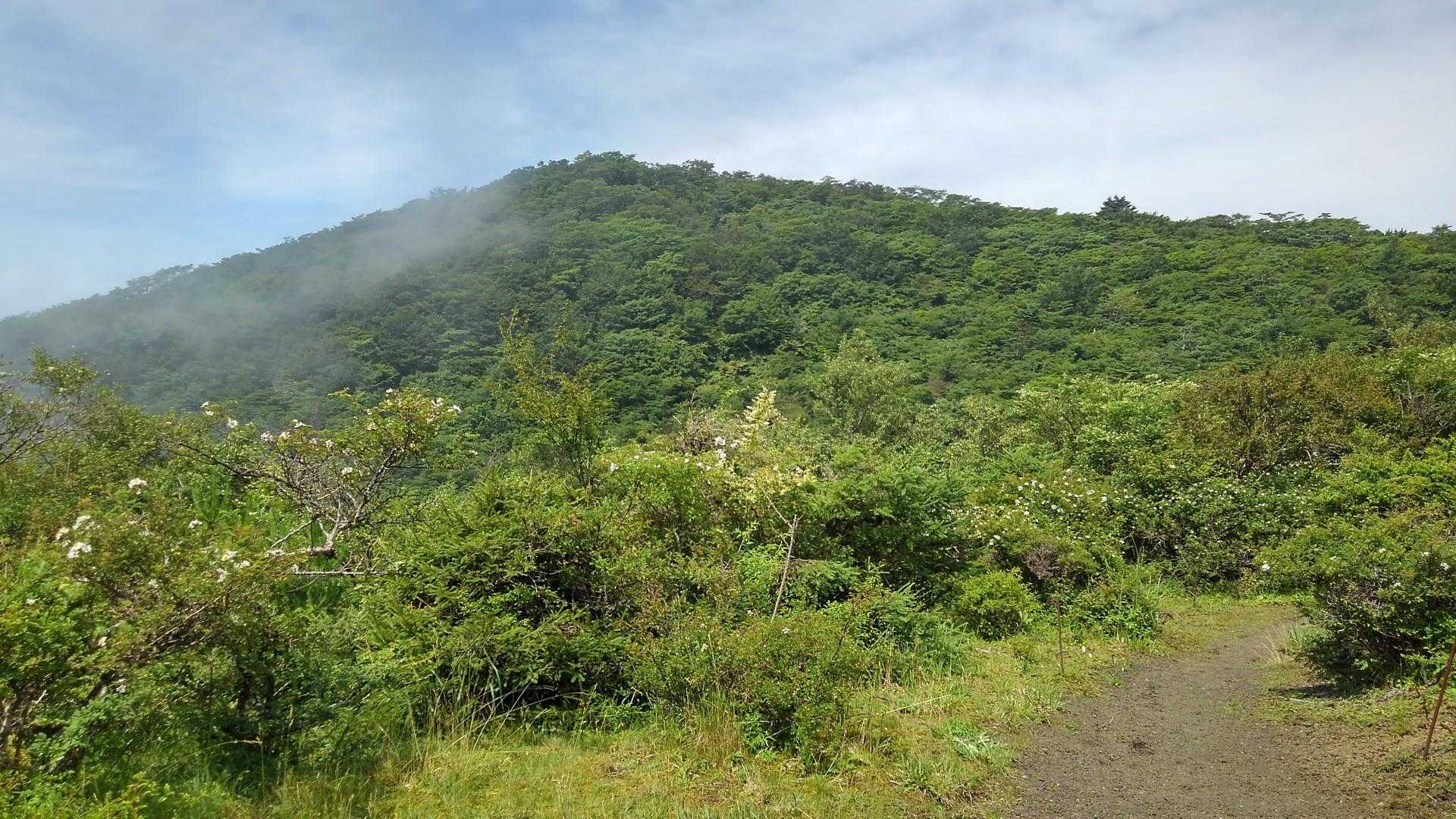 三国峠-三国山-楢木山-大洞山-畑尾山 往復コースの写真
