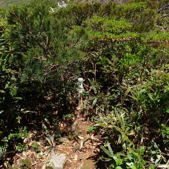 東栗駒山三角点撮影の最後。
後方の岩が東栗駒山の山名プレートが載っているピーク