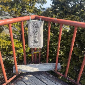 稲村ヶ岳頂上⛰️