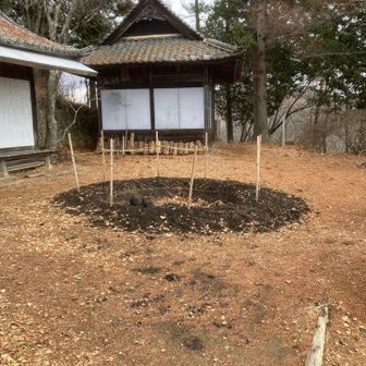 お正月の準備かな🤔