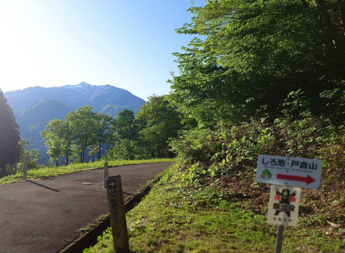 遊歩道で しろ池へ…
お花以外も🌿サーチしながらゆっくり登ります。