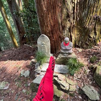 🙏見て可愛い🤤掛け