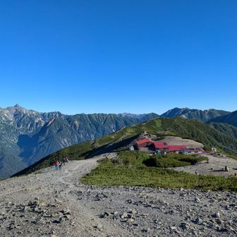 チキンにゃんバン