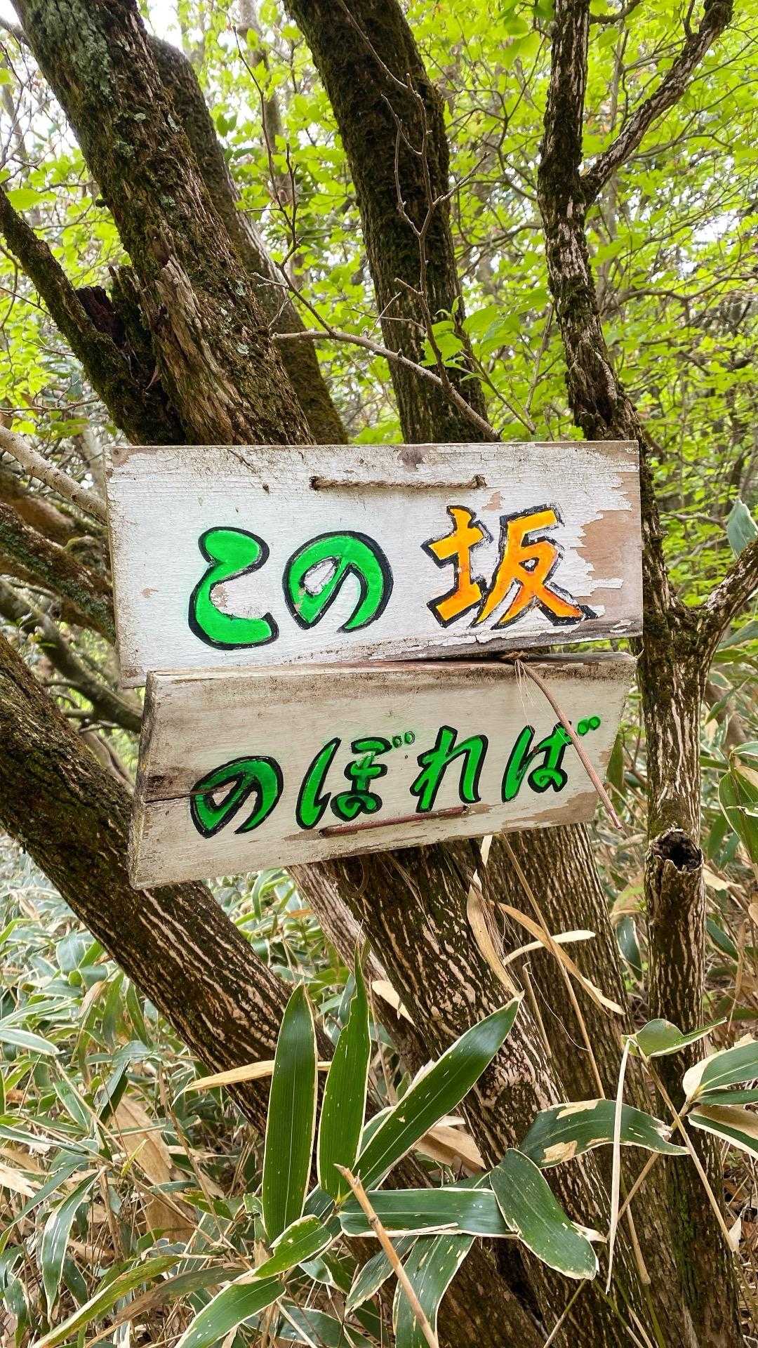 のぼれば..何ですか？🤣