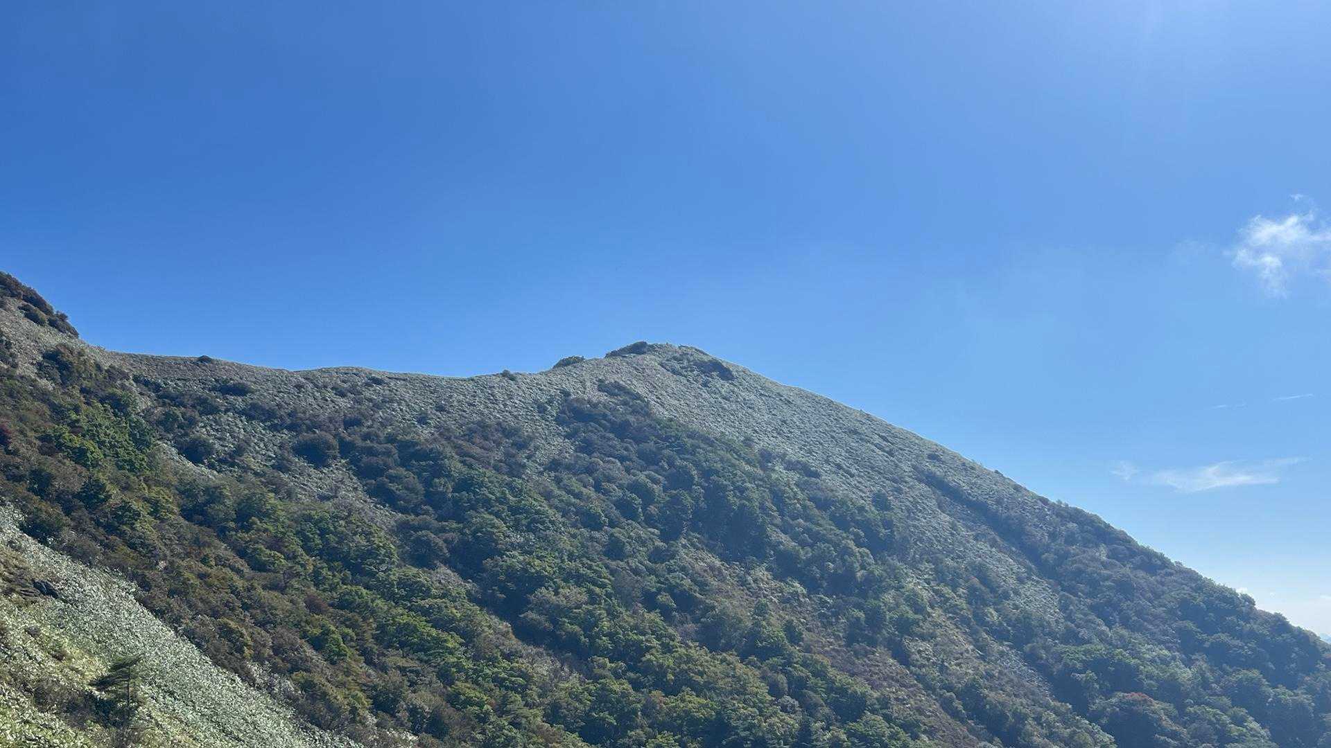 伊予富士はこちらから登ると楽ちんです