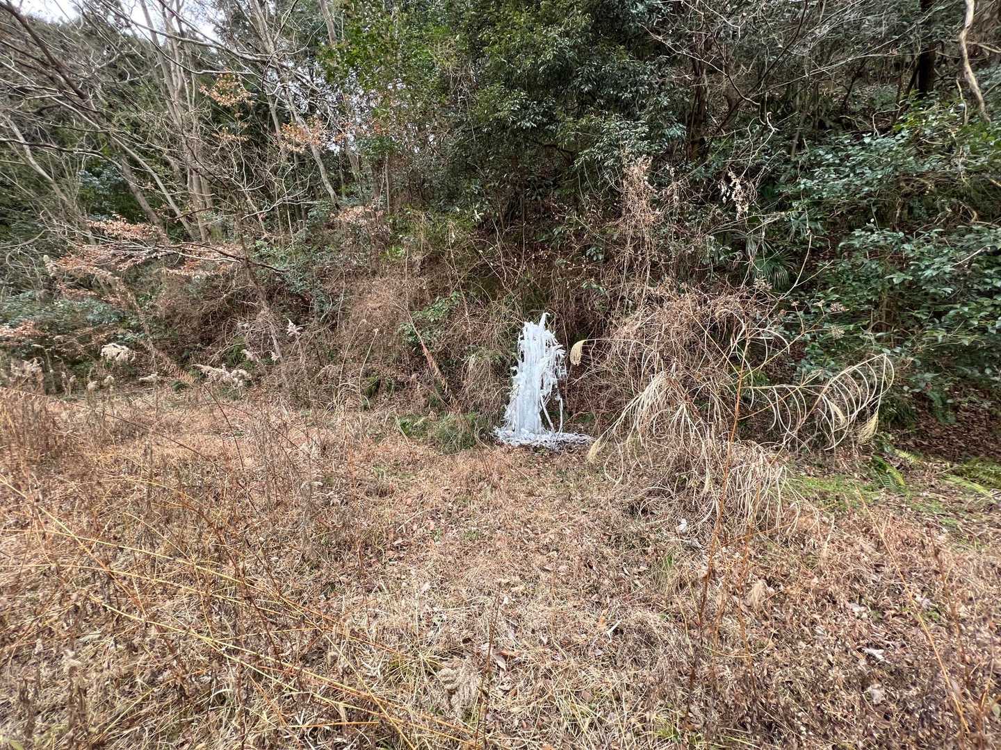 ひっそり氷瀑