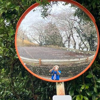 ミラーマンじじい