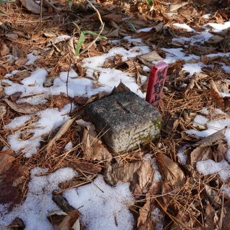 梨子野山山頂。ただ、どう考えてもここより高いところがいっぱいあります。