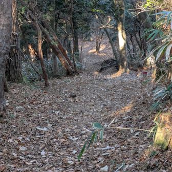 まず下りからという、異例のスタート