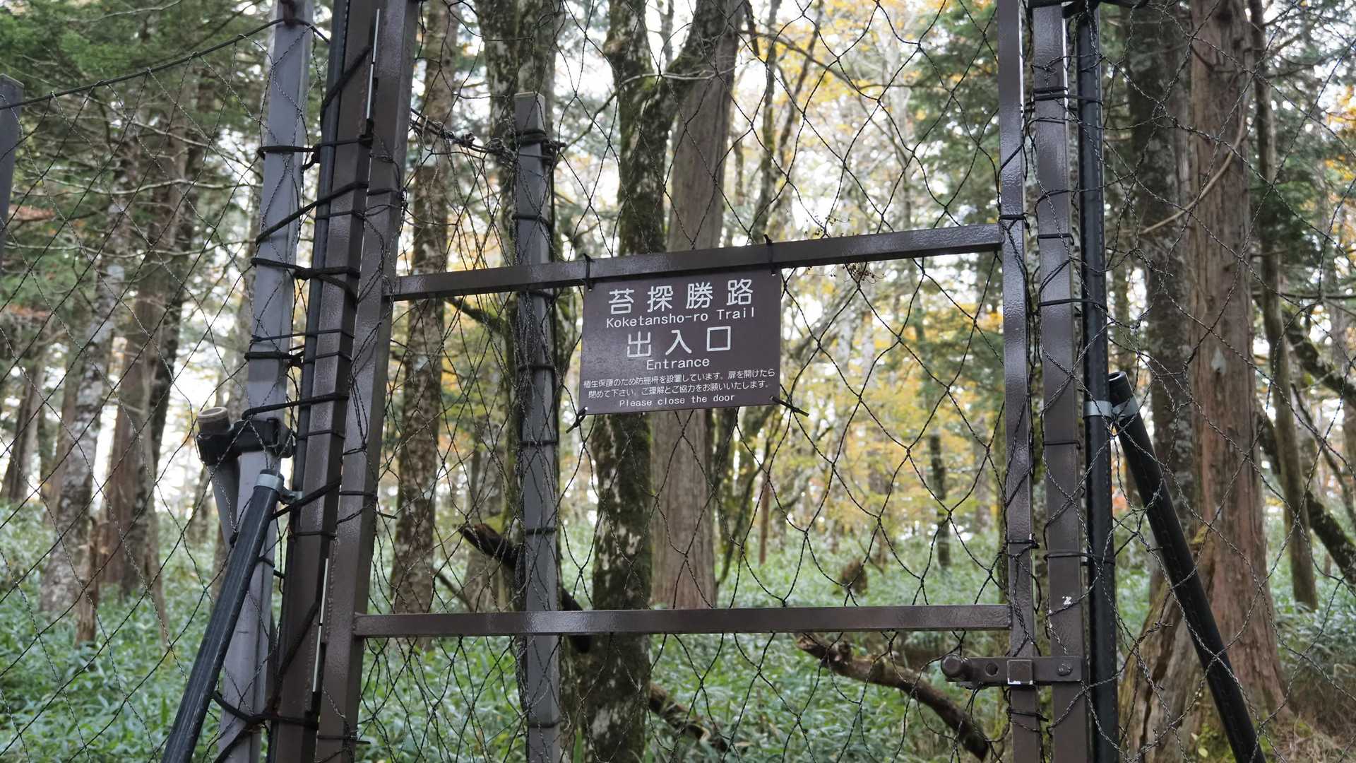 回復試験地は扉で守られてる