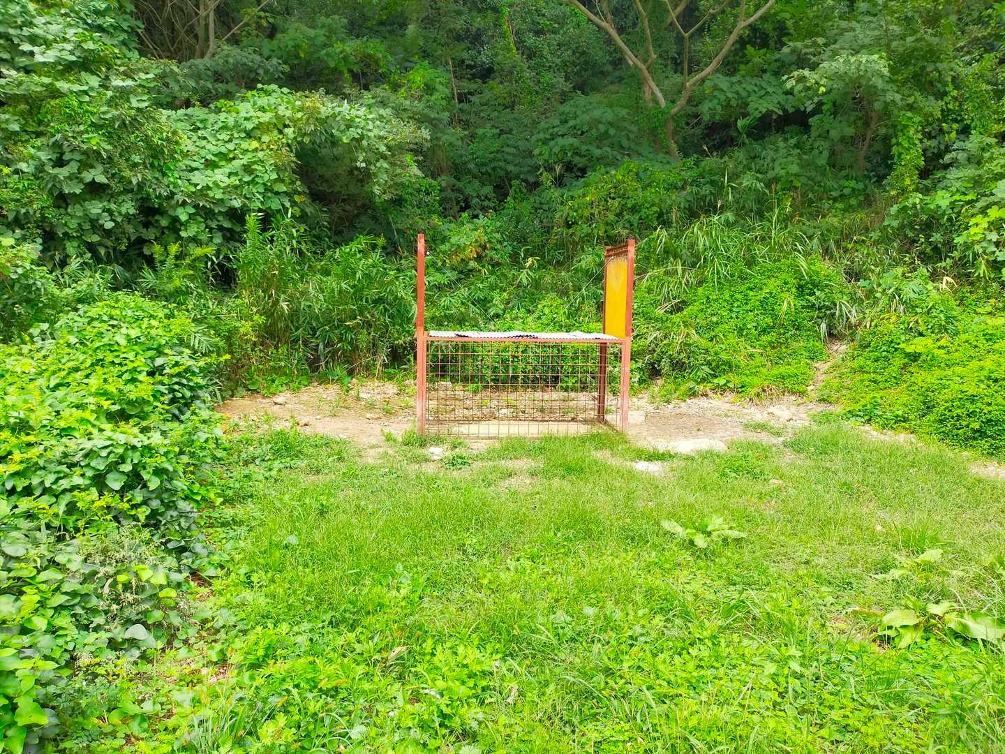 いやいや、
なんか嫌なフラグたっちょー🐗