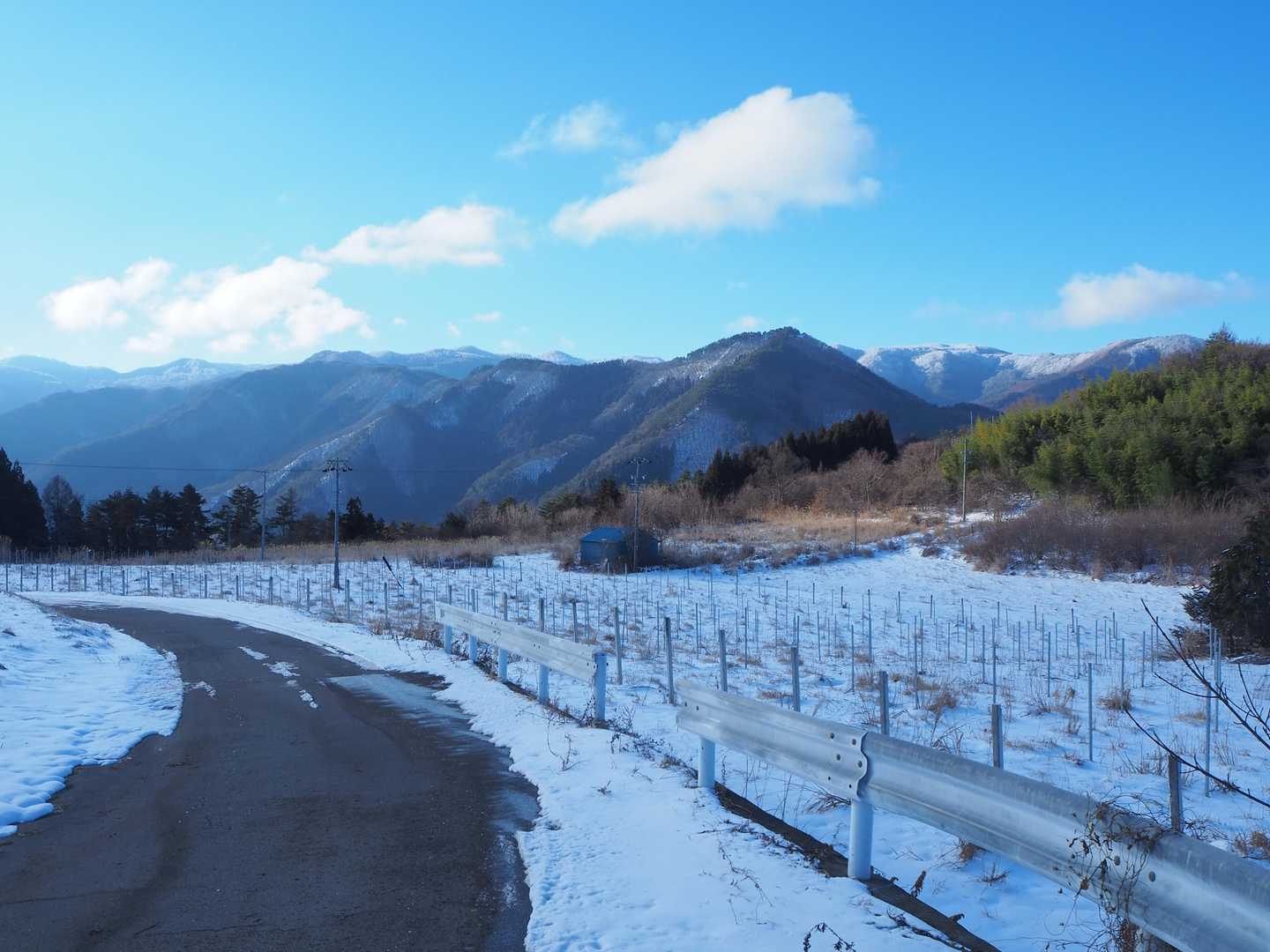 皆神山 往復コースの写真