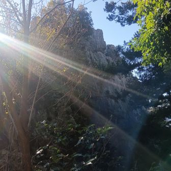 立須はあれかな！？👀