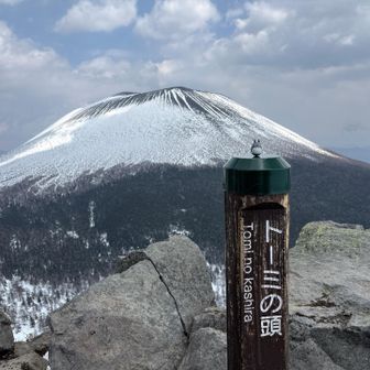 トーミの頭とトトロ