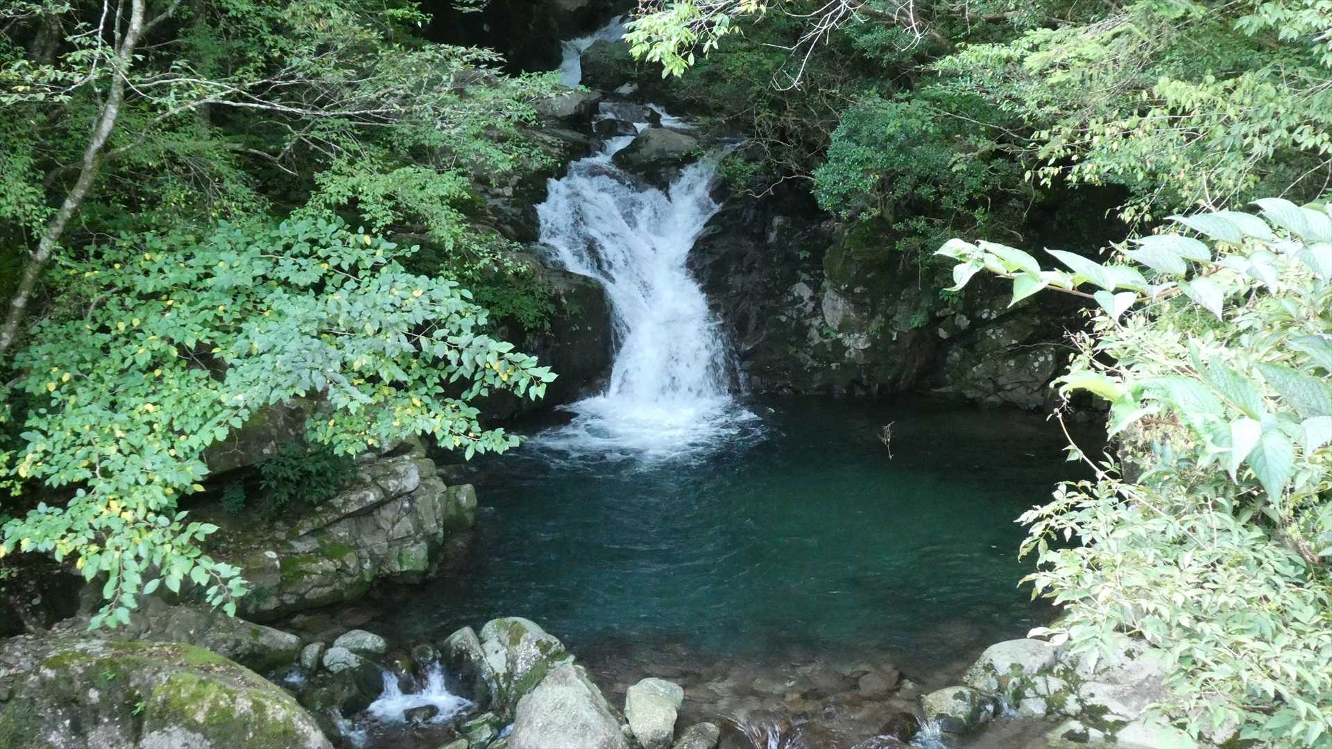 甘茶滝
カバー写真