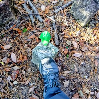 安倉山の三角点🐢