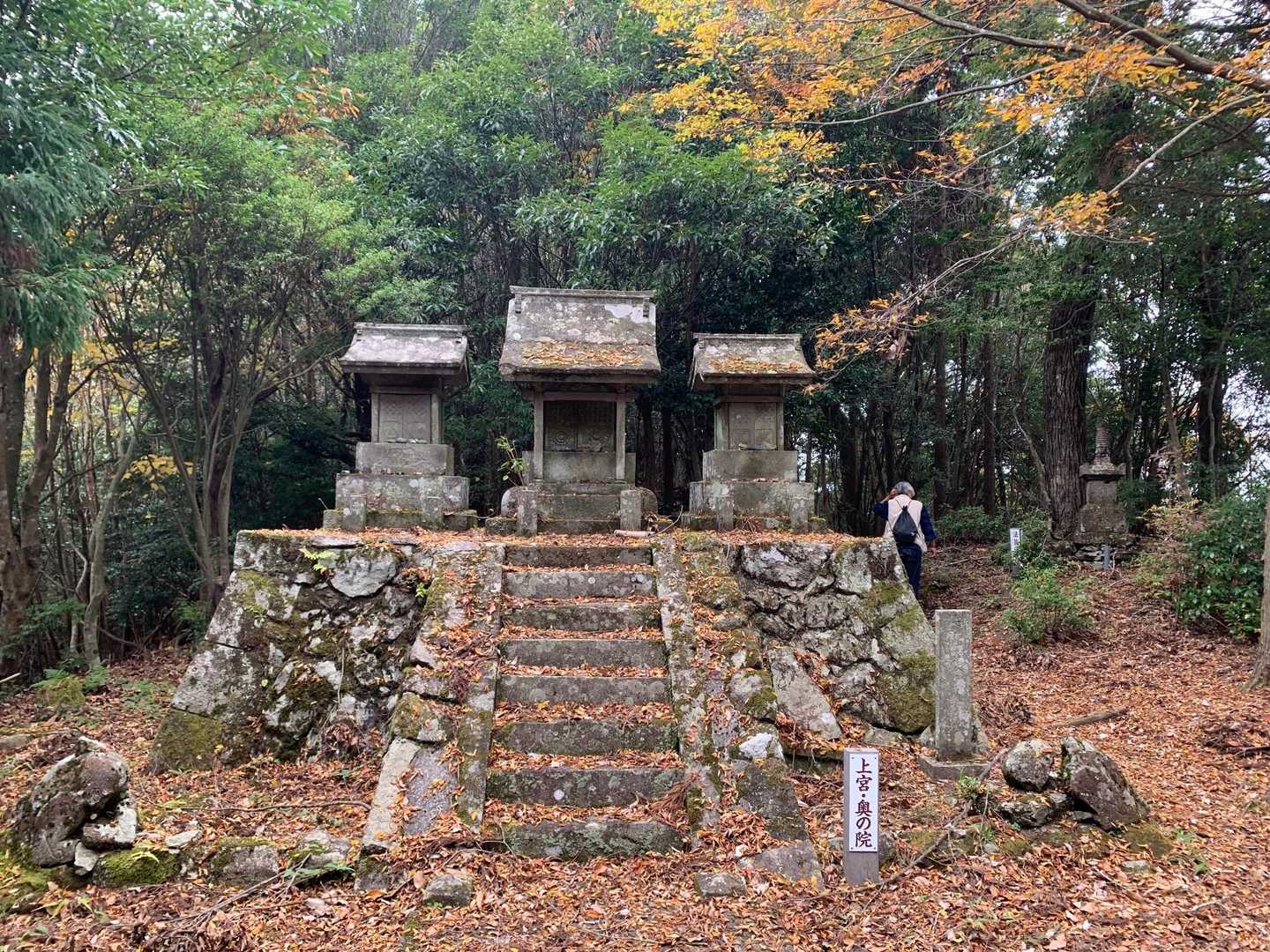 山頂手前👀