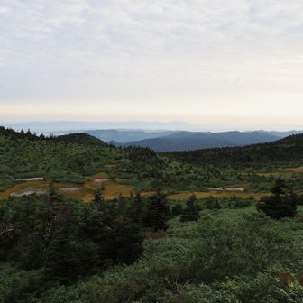 田茂萢岳の展望所から湿原を見下ろす