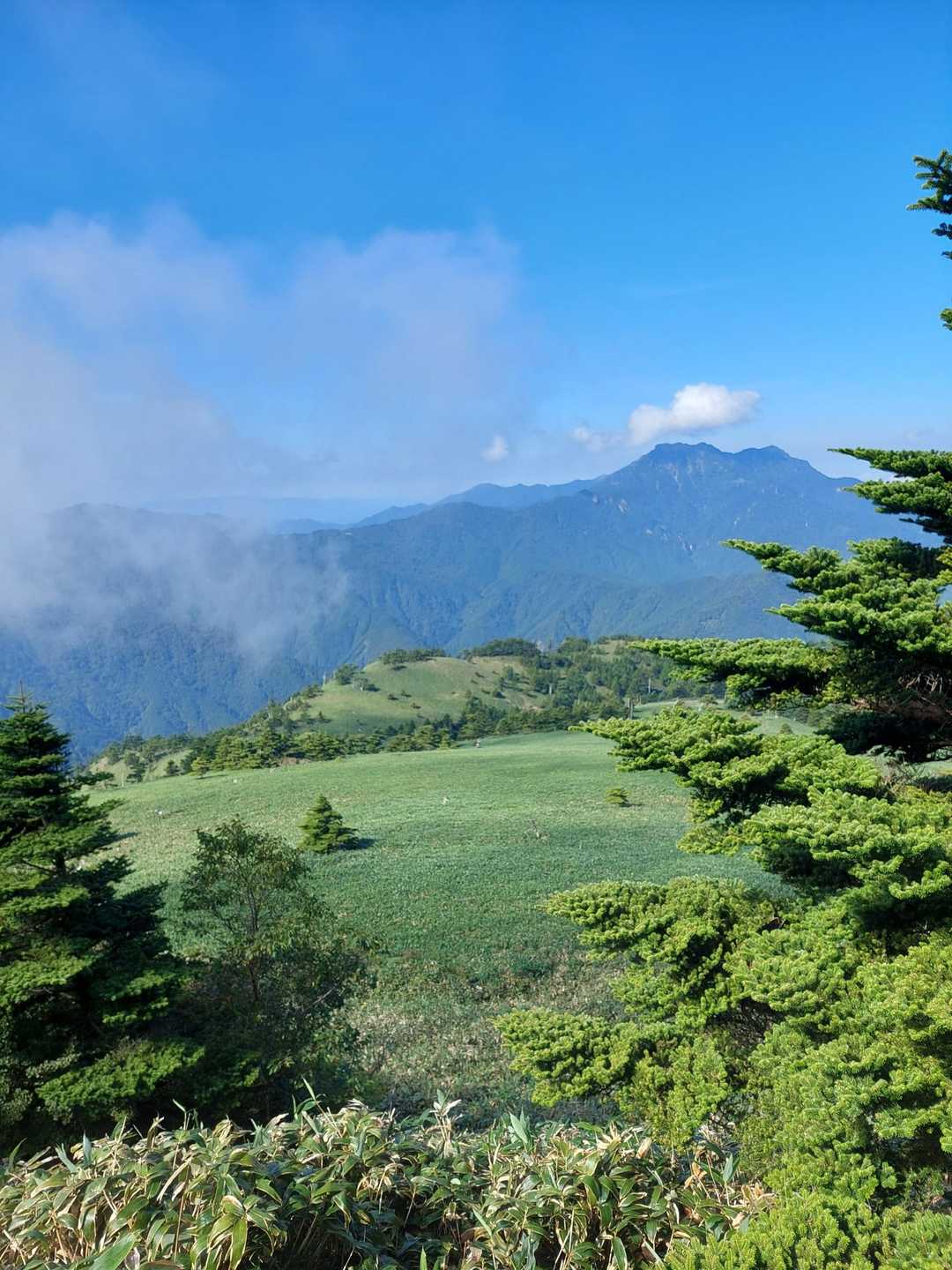 瓶ヶ森登山口発着｜四国最高峰を眺望する瓶ヶ森 周回コースの写真