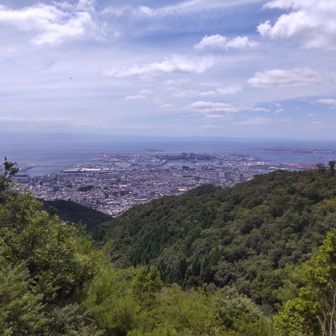 こんな感じ