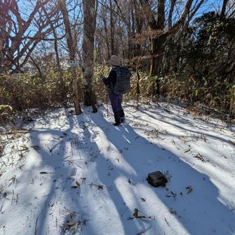 栃尾山山頂　栃尾峠からすぐでした。