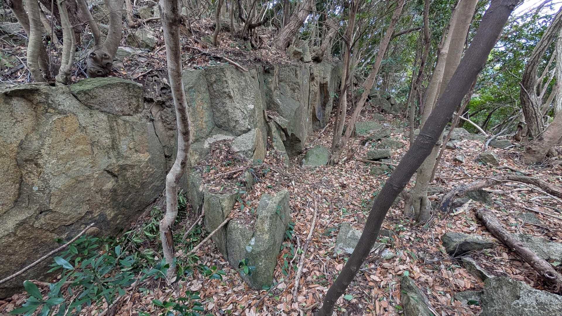 甲山 往復コースの写真