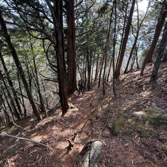 鈴庫山の手前5分くらいが少し急になります。