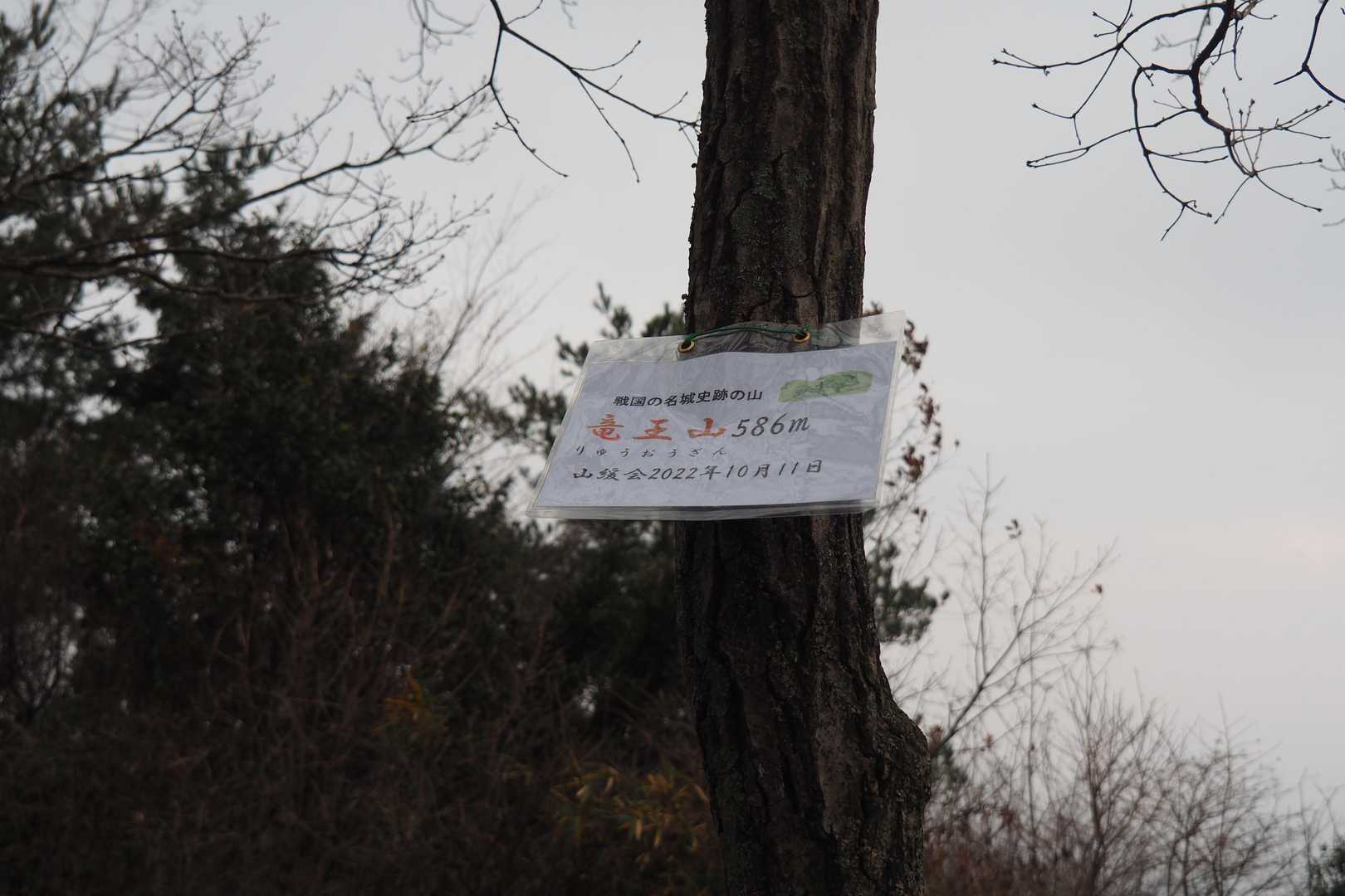 龍王山 周回コースの写真