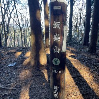 🍚メシモリ？イイモリ？