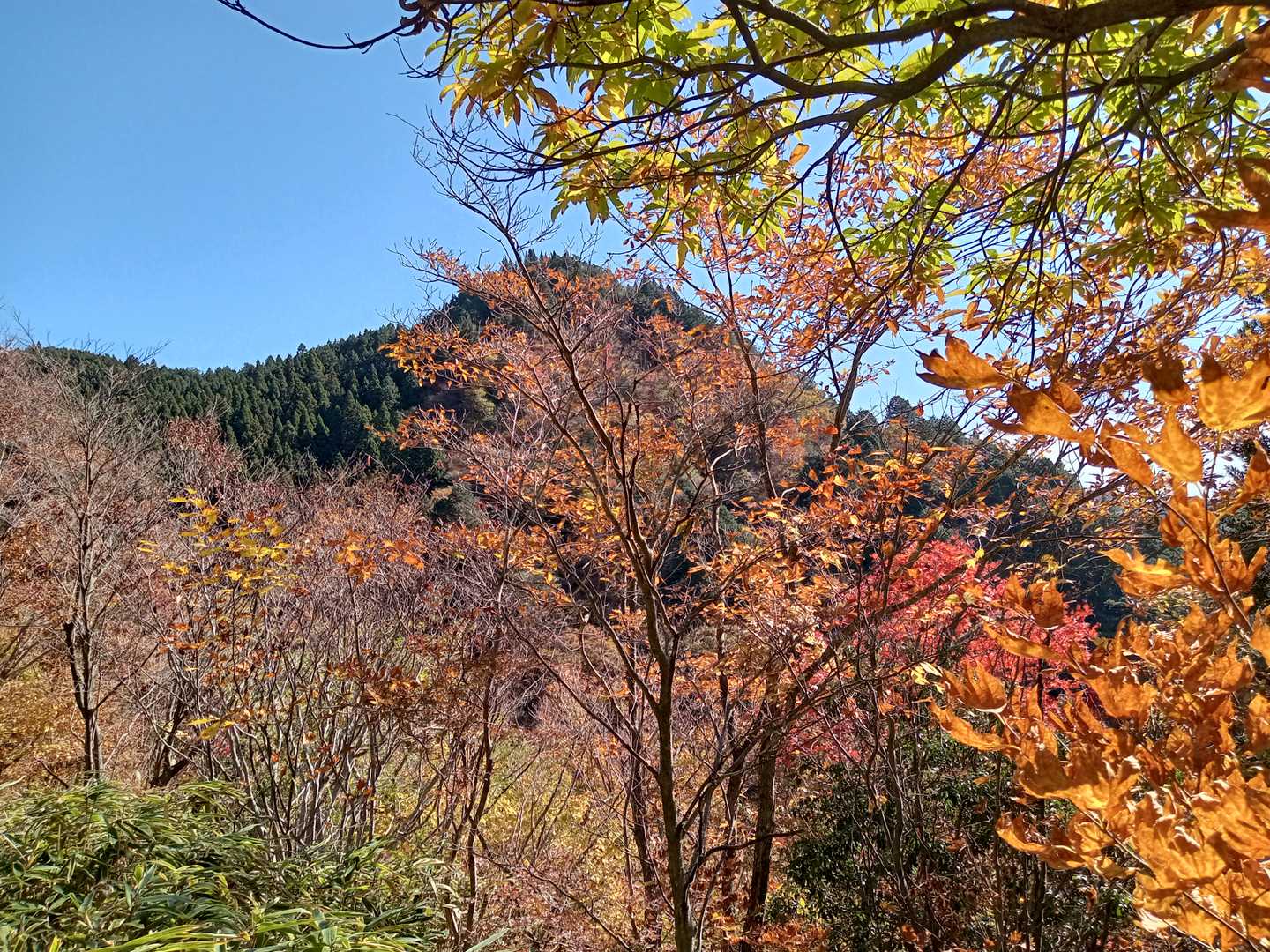 瓢ヶ岳 往復コースの写真